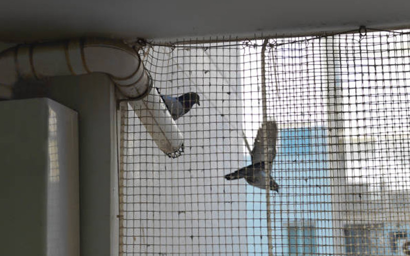 Netting Solutions In Andheri