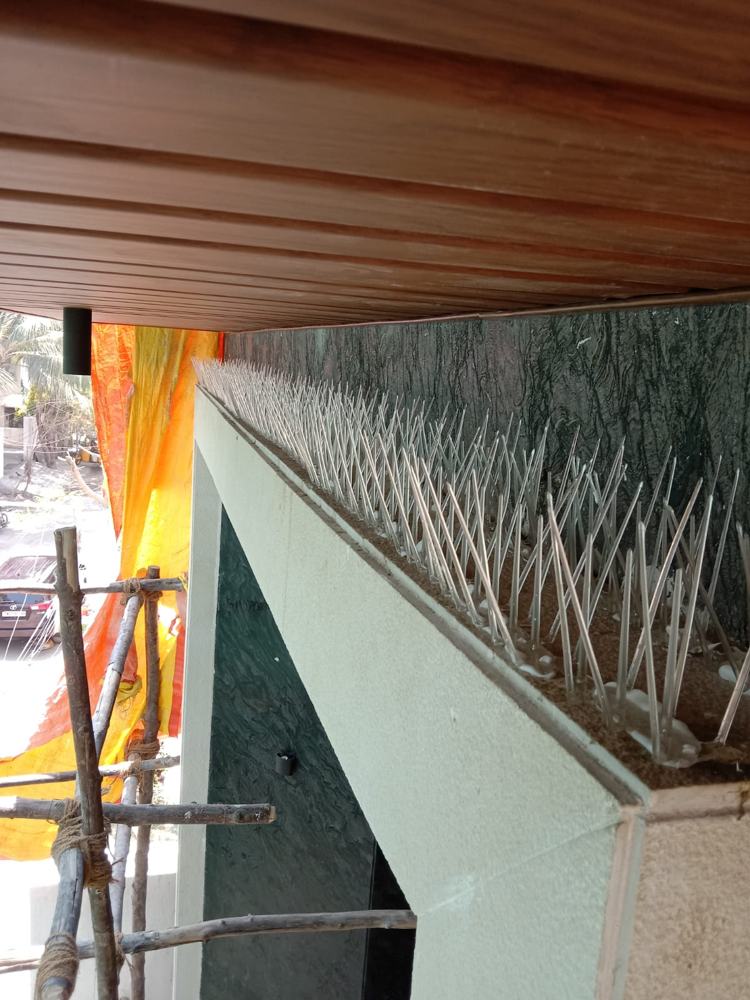 Bird Spikes in Chennai - YPL Safety Nets