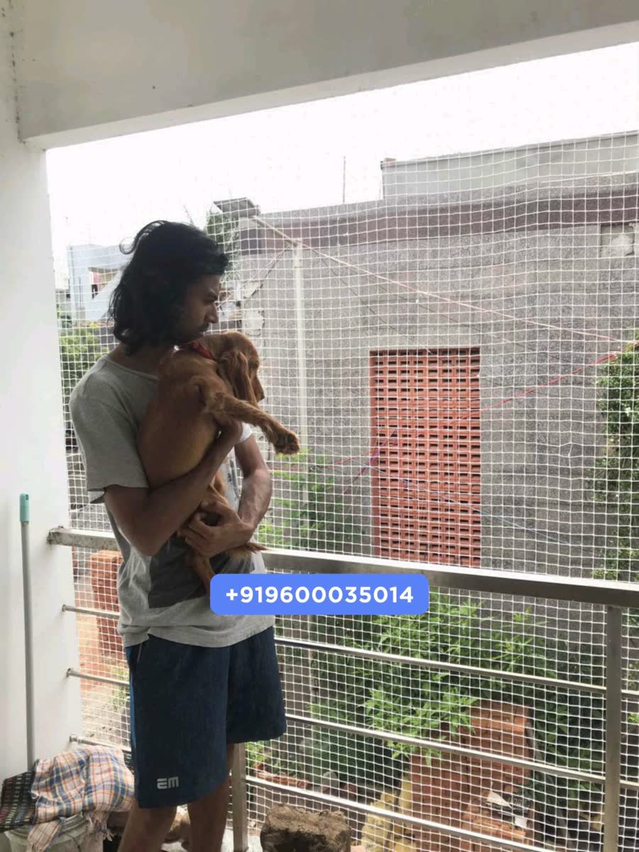Staircase and Building Safety Nets for Chennai Apartments