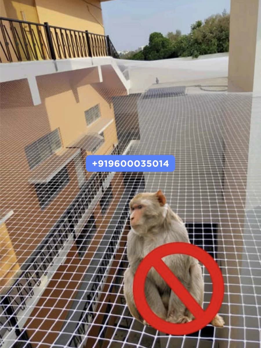 Monkey Safety Nets in Chennai: Keeping Monkeys Out of Balconies and Terraces