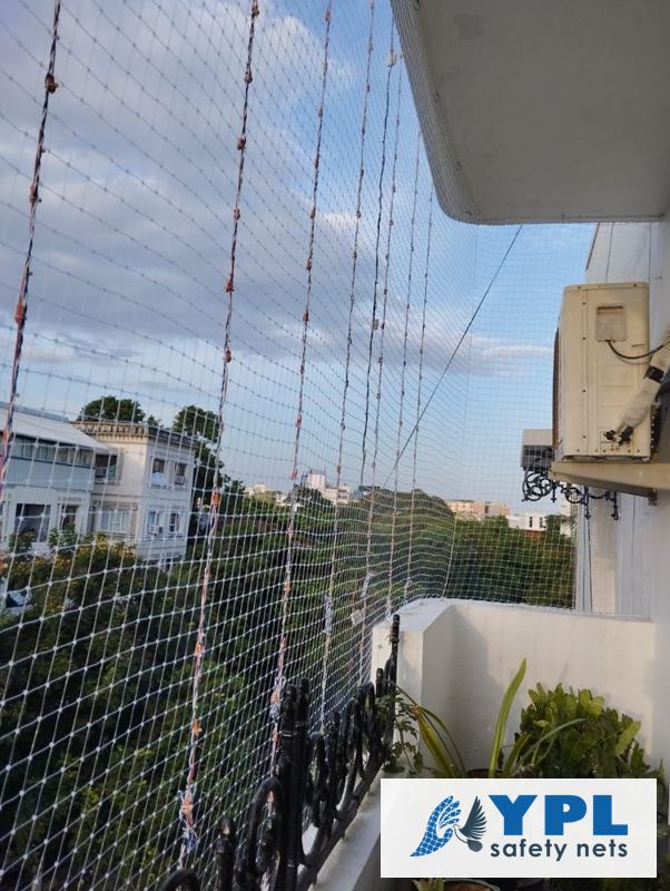 Pigeon nets installed in Chennai by YPL Safety Nets – recent work 3